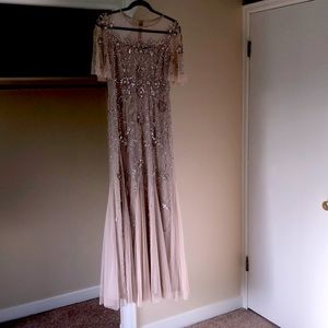 Stunning Adrianna Papell long gown